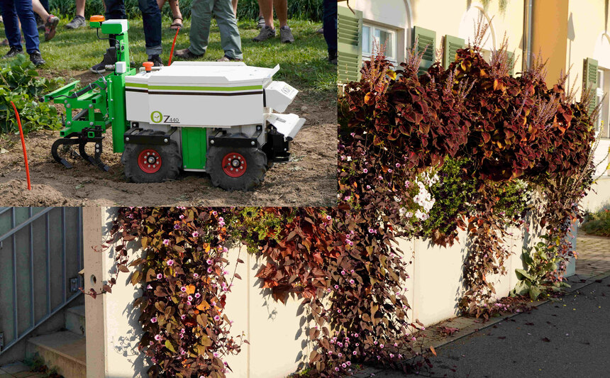 Blumenkästen an einer Mauer und ein Roboter zum Jähten 