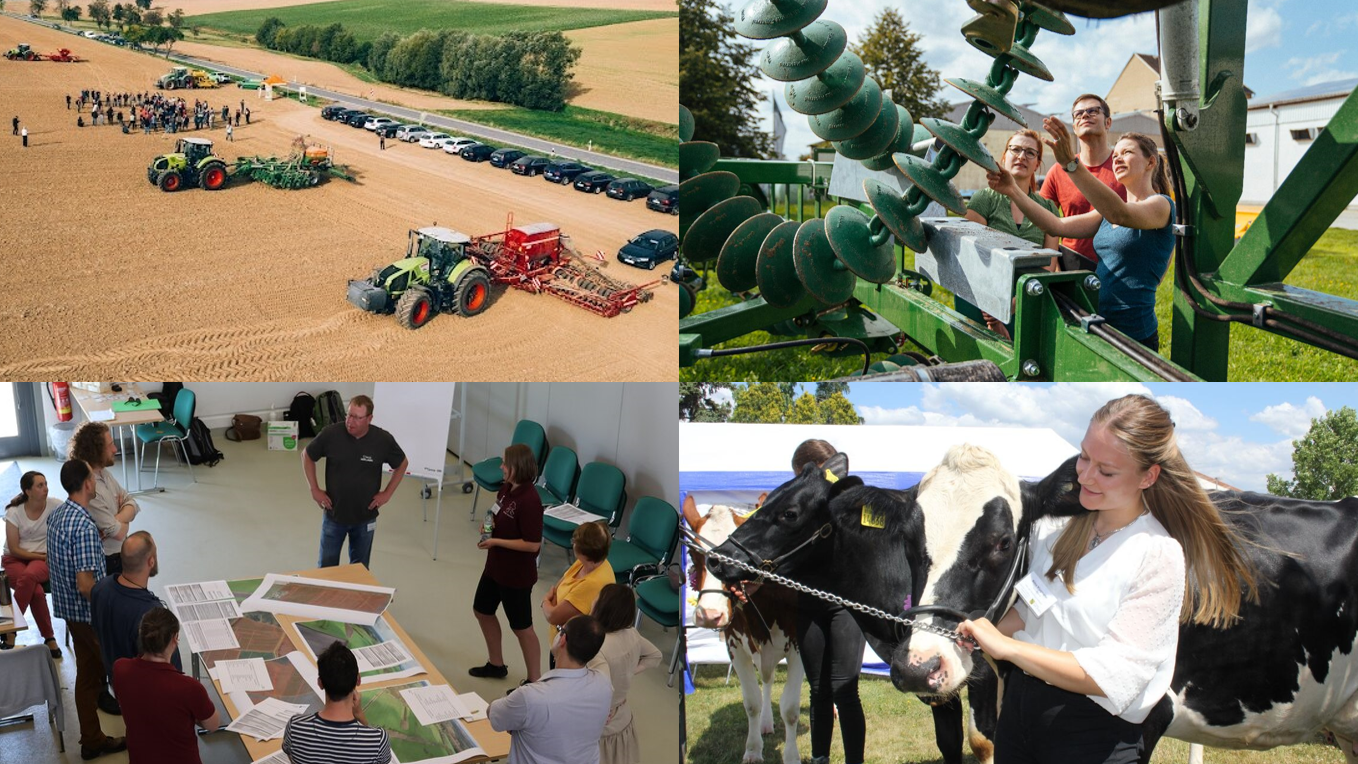 Collage mit vier Fotos verschiedener Veranstaltungen