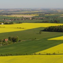 Bild: Versuchsergebnisse 2010