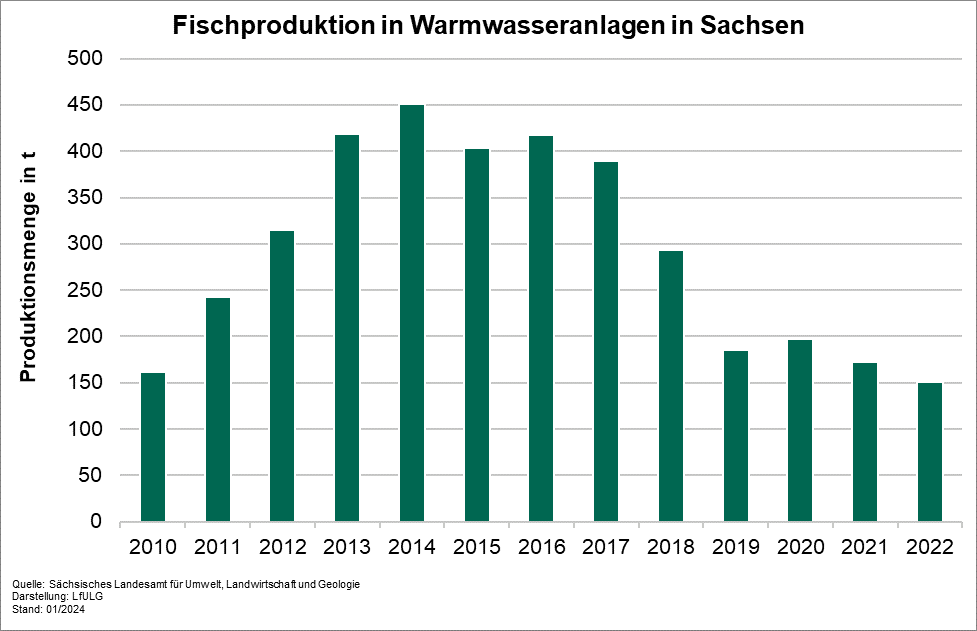 Das Diagramm zeigt die Fischproduktion in technischen Anlagen in Sachsen. Die bisher höchste Produktionsmenge wurde im Jahr 2014 mit 451 t erreicht. Danach ist ein Rückgang eingetreten.