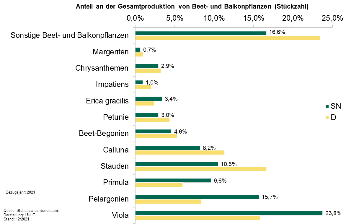 Im Balkendiagramm wird die Beet- und Balkonpflanzenproduktion im Jahr 2021 in Sachsen und Deutschland gezeigt. Am häufigsten werden, bezogen auf die Menge Viola (Stiefmütterchen, Hornveilchen) kultiviert, gefolgt von Pelargonien und Primeln.