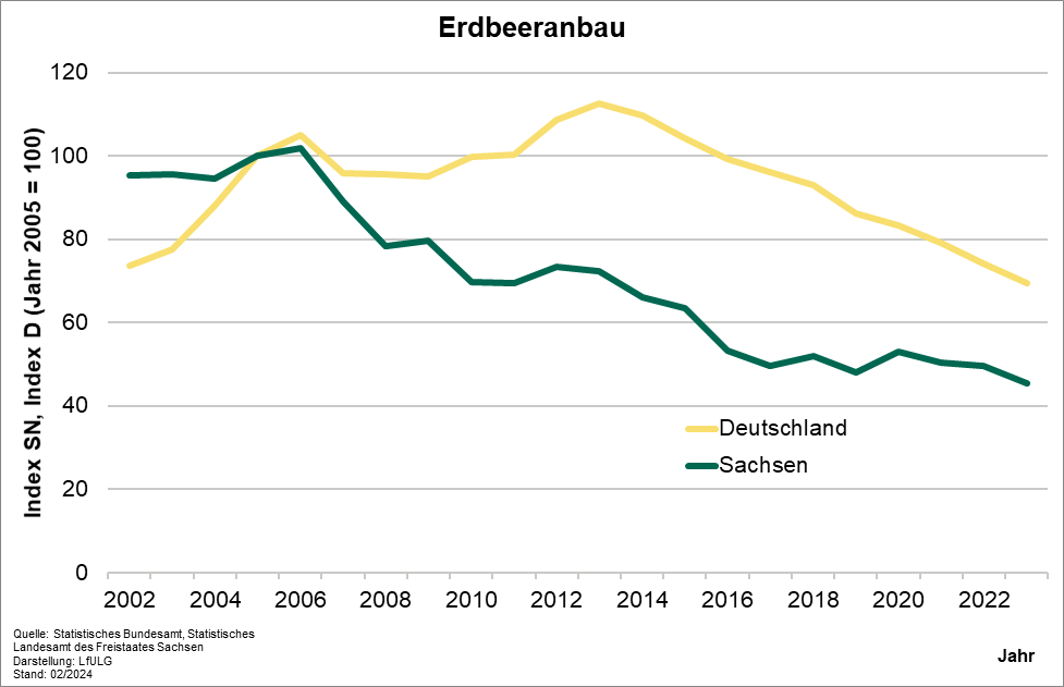 Die Abbildung zeigt mit zwei Linien die Entwicklung der Anbaufläche für Erdbeeren in Deutschland und in Sachsen. Die Anbaufläche ging in Sachsen stärker zurück als in Deutschland.