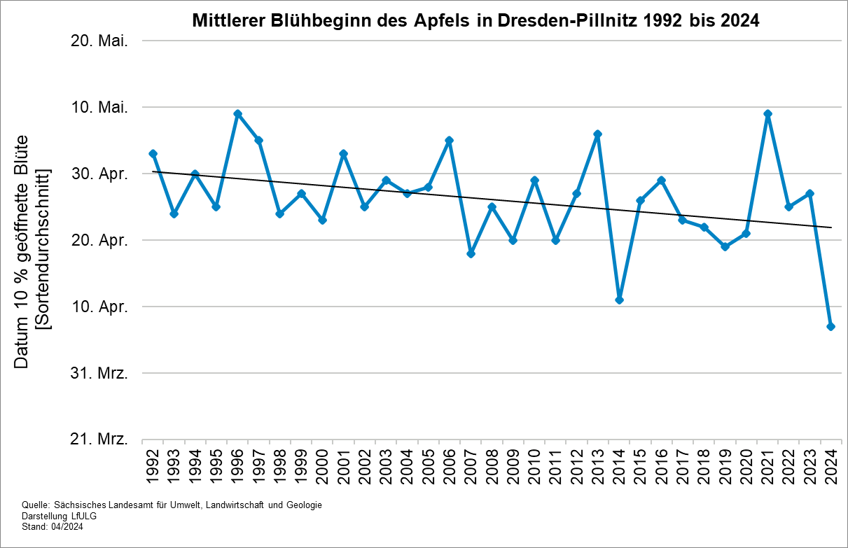 In dem Liniendiagramm wird gezeigt, wie sich der Beginn der Obstblüte seit dem Jahr 1992 in Dresden-Pillnitz entwickelt hat. Die Daten zeigen einen deutlichen Trend zu früherem Blühbeginn.