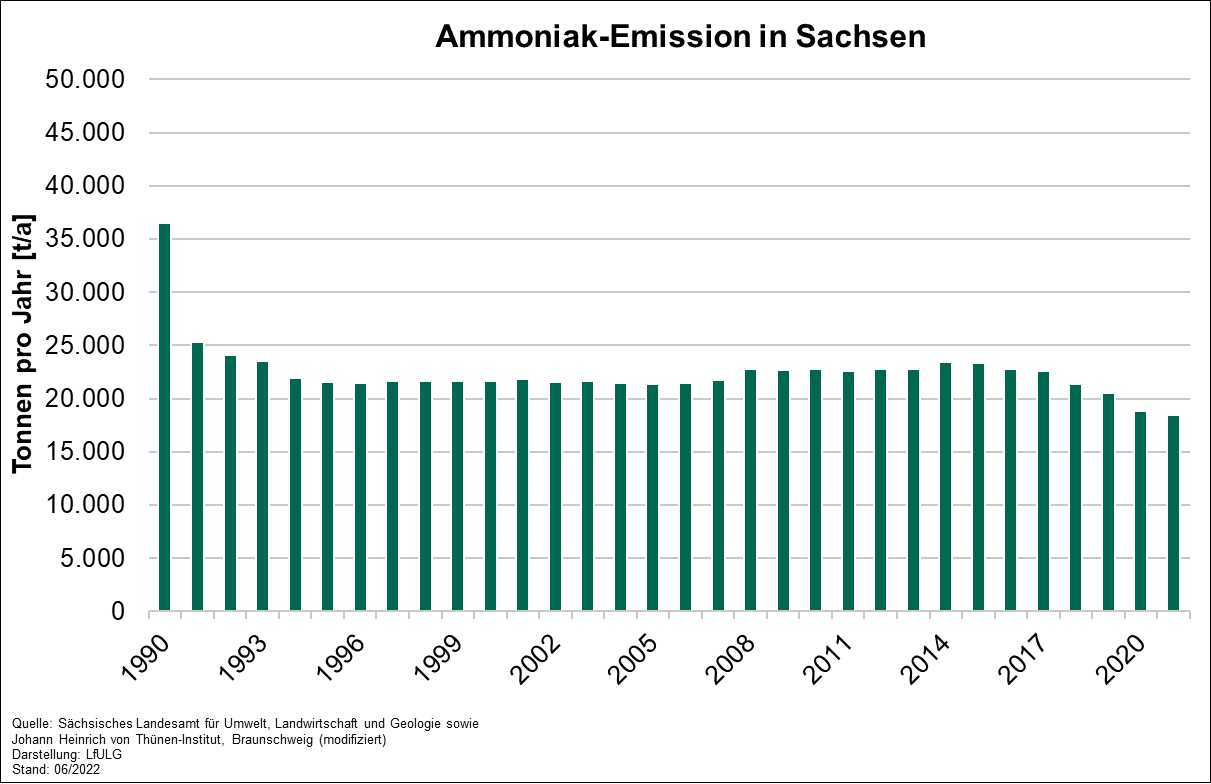 Ein Säulendiagramm zeigt, wie viele Tonnen Ammoniak pro Jahr in Sachsen emittiert werden. Von 1990 bis 1994 gab es einen starken Rückgang, danach relativ konstante Werte zwischen 21000 und 24000 Tonnen pro Jahr; zuletzt einen weiteren Rückgang.