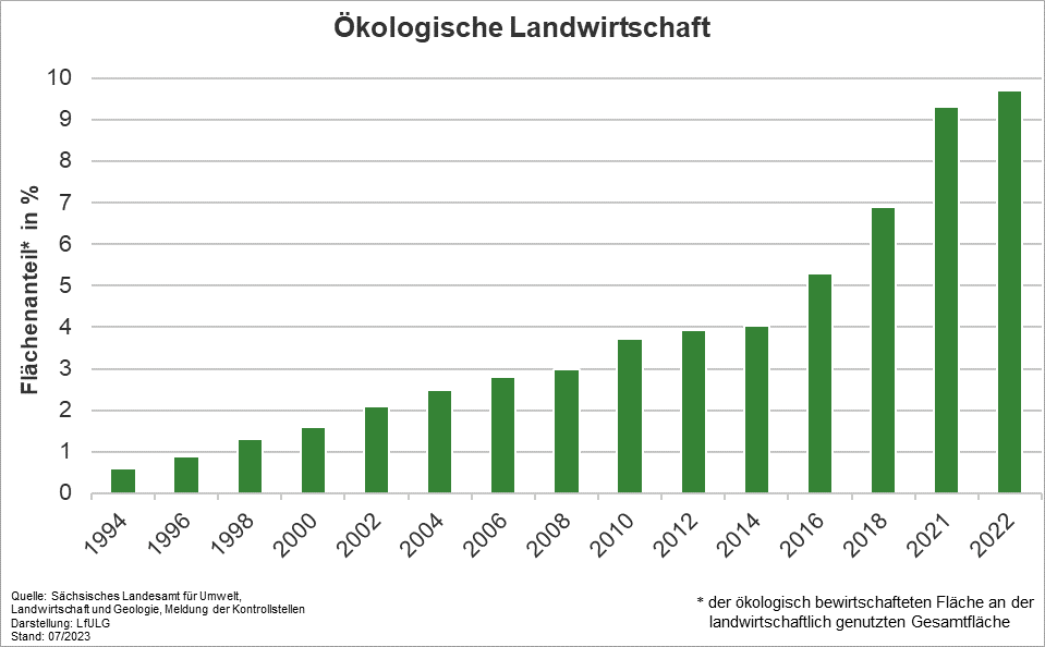 Das Säulendiagramm zeigt den Anteil der ökologisch bewirtschafteten Fläche in Sachsen. Der Anteil ist von weniger als einem Prozent im Jahr 1994 auf jetzt über Prozent gestiegen.