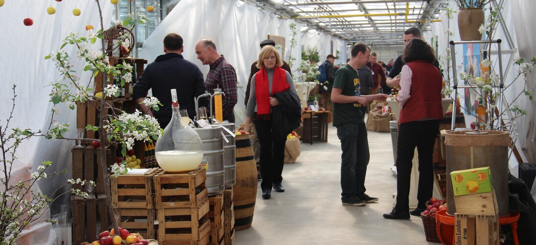 Ausstellung im Gewächshausverbinder - Gartenbaufachschüler erläutern ihre Porjekte