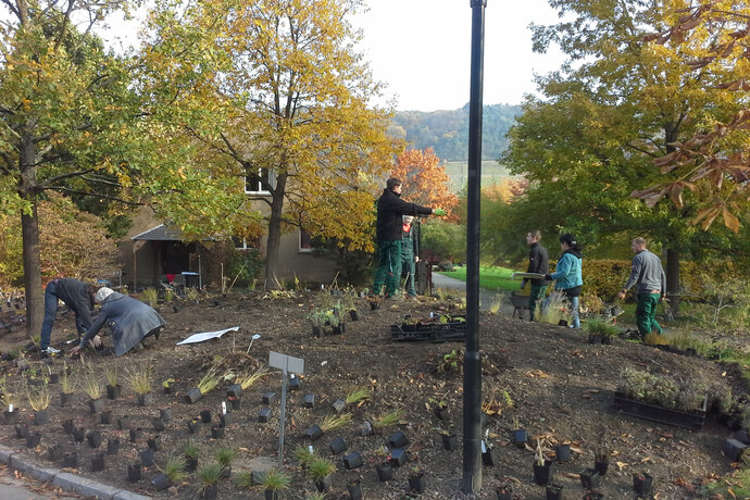 6 junge Menschen bepflanzen im Herbst gemeinsam eine große Fläche vor einem Haus.