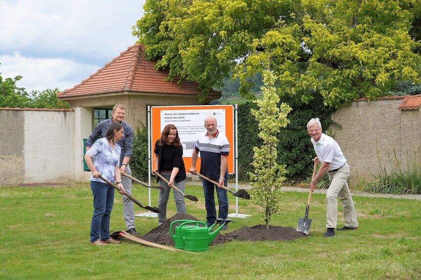 Der Präsident des Landesamtes pflanzt zusammen mit Planern und der Gartenakademie eine Linde zur Grundsteinlegung auf dem zukünftigen Standort.