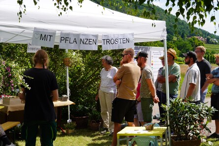 mehrere Menschen hören einer Person zu