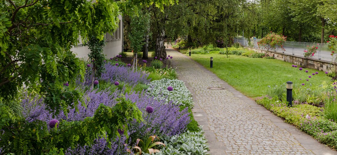 Buntes Staudenbeet vor dem Schulgebäude