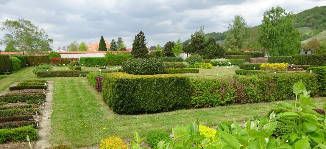 Heckenmusteranlage in PIllnitz