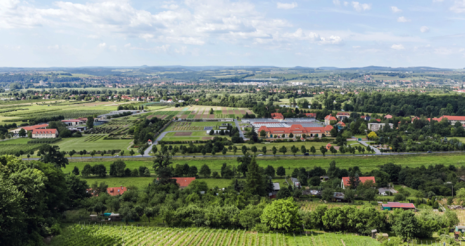 Dresden Pillnitz von oben.