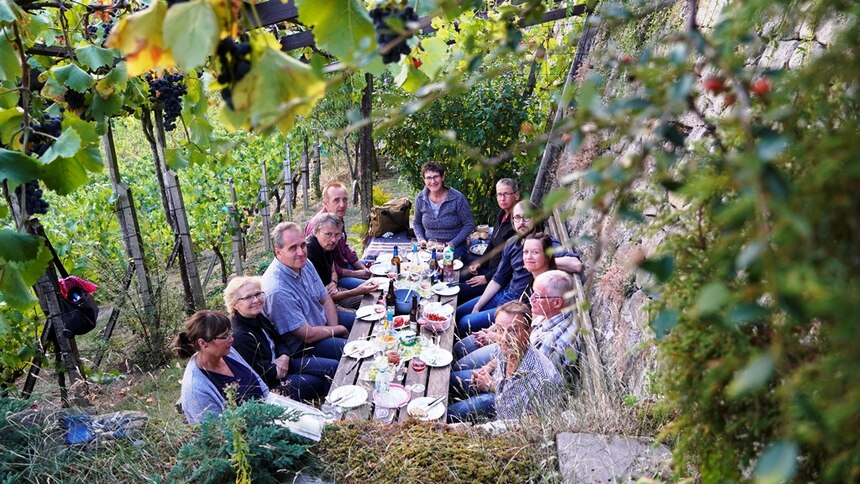 Mitarbeiter des Referats Garten- und Landschaftsbau sitzen um einen Tisch im Weinber Pillnitz