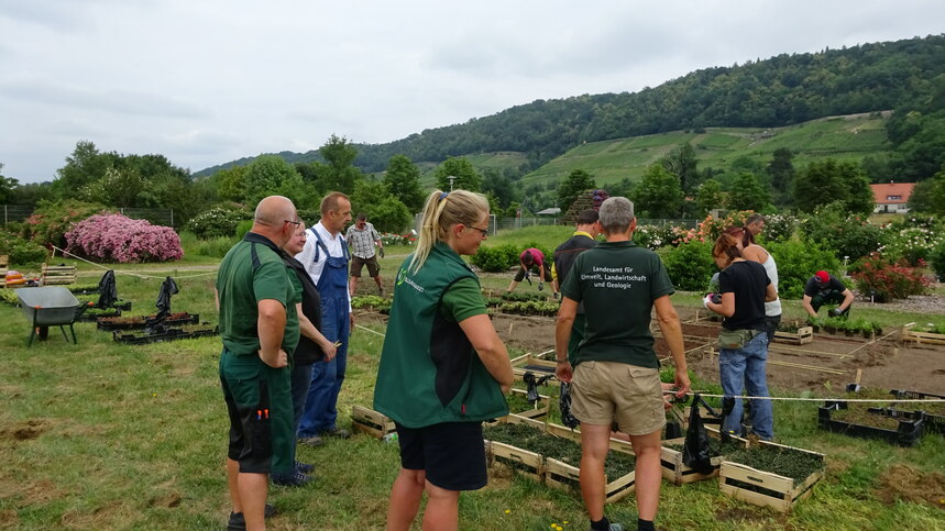 Viele freiwillige Helfer beim Einrichten des neuen Bodendeckerversuchs im Versuchsfeld in Dresden-Pillnitz