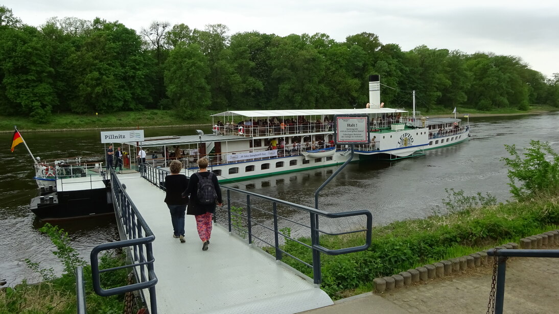 Alternative Hin- und Rückfahr mit dem Dampfschiff der weißen Flotte bis zum Anleger in Pillnitz