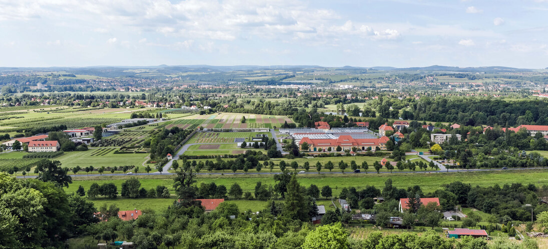 Luftbild von Pillnitz, Überblick über die Landschaft in Pillnitz mit den Fachschulen Pillnitz am rechten Bildrand.