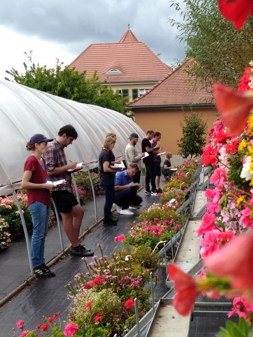 2. März 2024 Tag der offenen Tür! Gartenbau sachsen.de