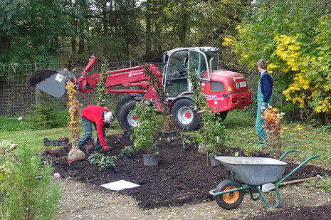 Zwei Personen arbeiten im Garten. Zu sehen sind Schubkarre und ein roter Radlader.