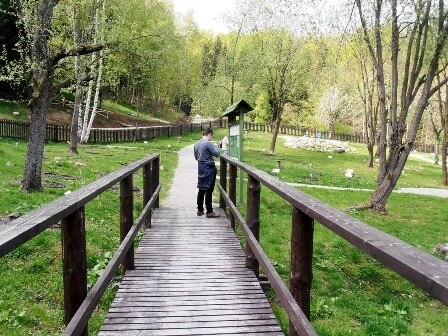 Im Schaugarten sind über 100 einheimischen Heilpflanzen nach Höhenstufen und Habitaten gruppiert. Foto: C.Dressler