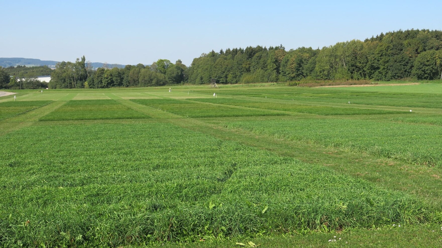 Blick auf das Versuchsfeld