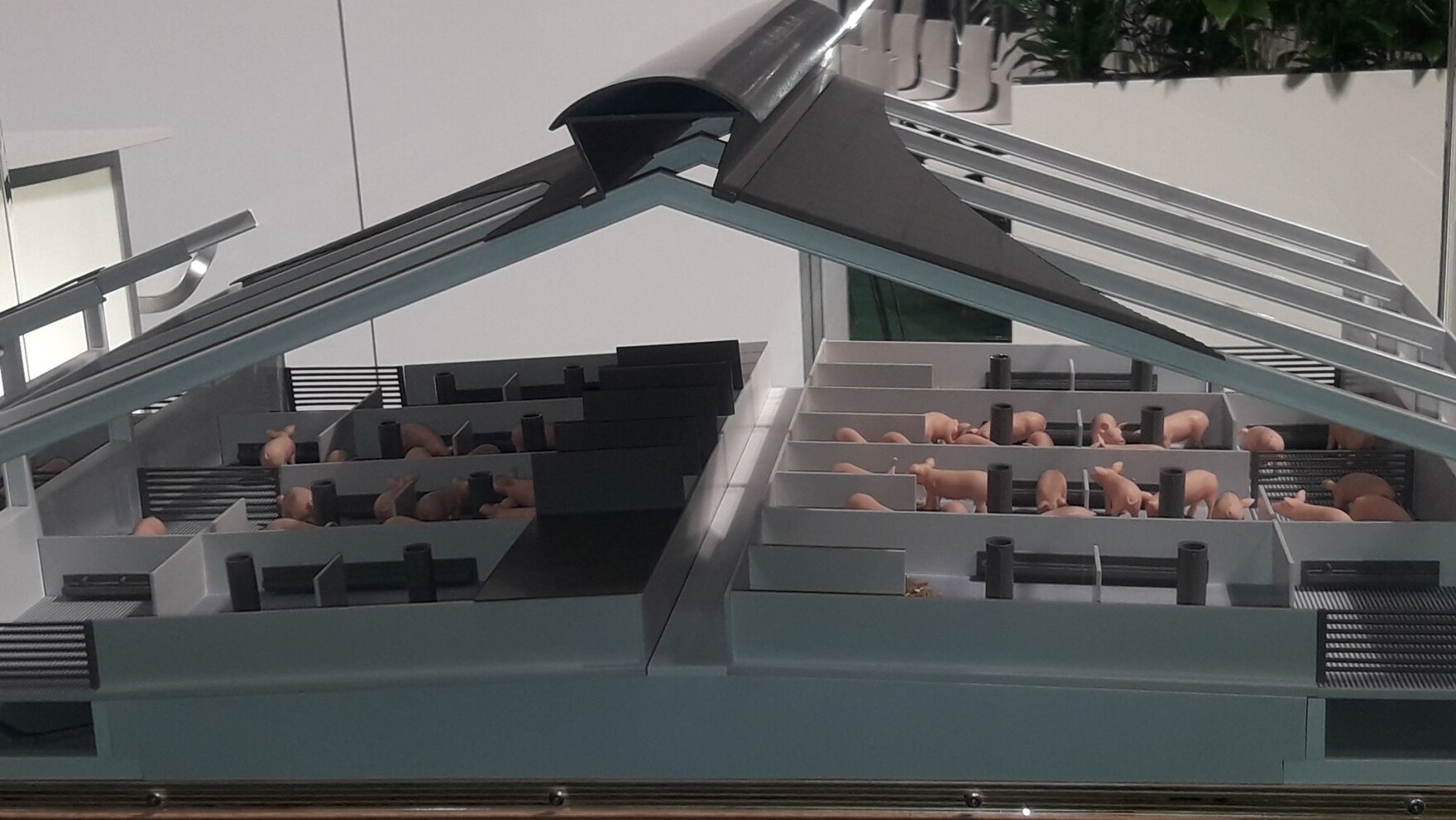 Schweinestallmodell