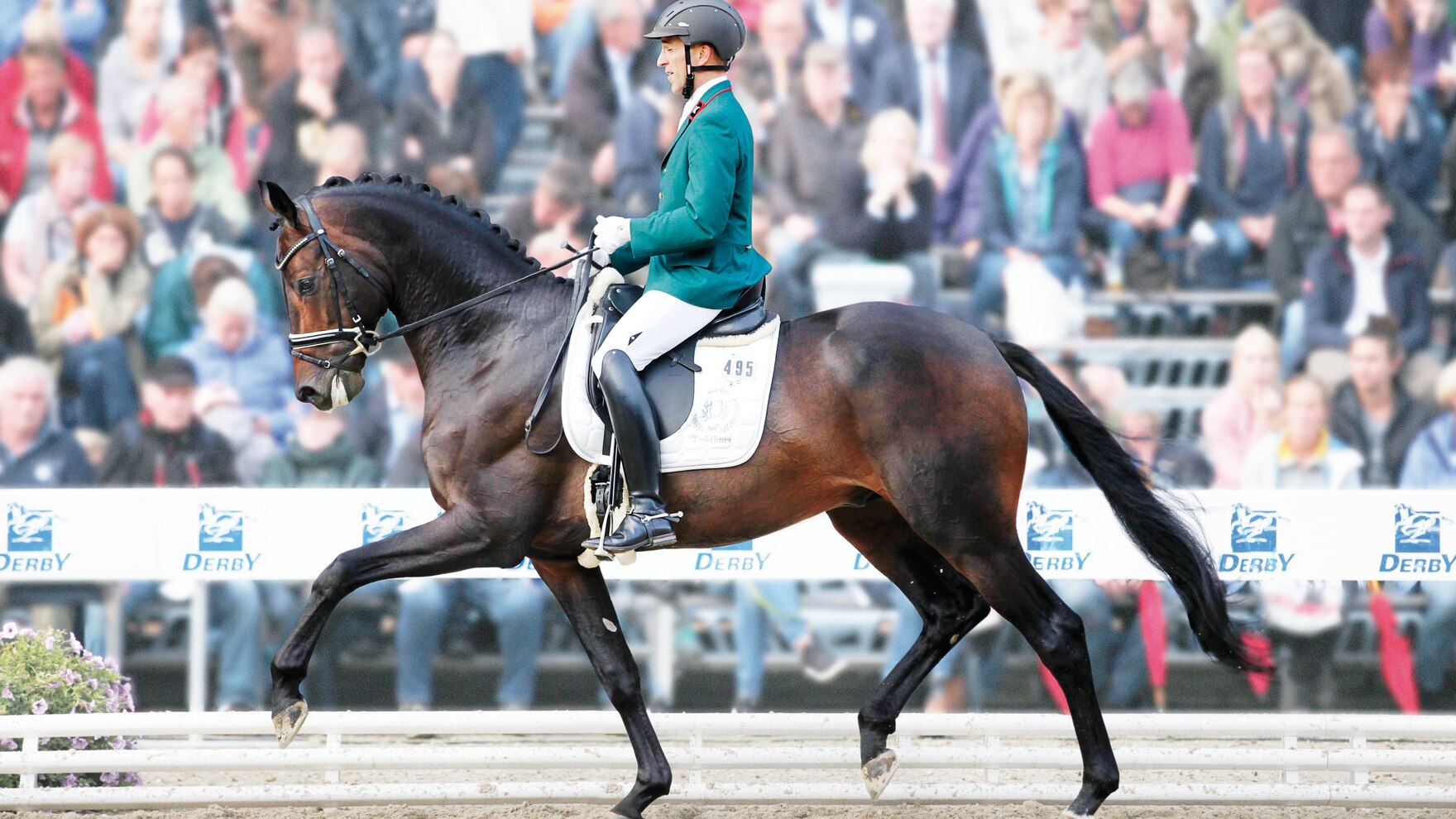 Der Trakehner Hengst Freiherr von Stein bewies im Dressurviereck unter seinem Reiter Kay Pawlowska zum Bundeschampionat seine Klasse. 