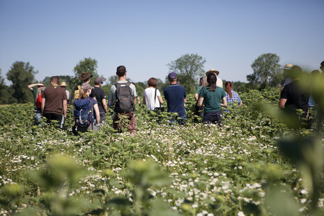 Feldtag Kompetenzzentrum Ökologischer Landbau