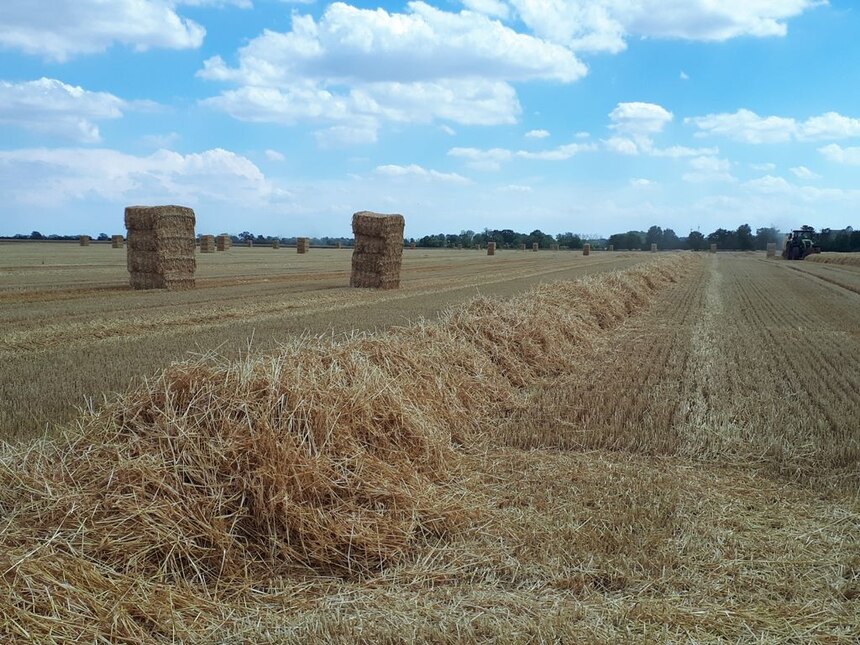 Strohballen auf dem Feld