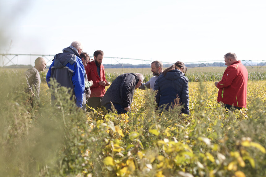 Menschengruppe in Feld