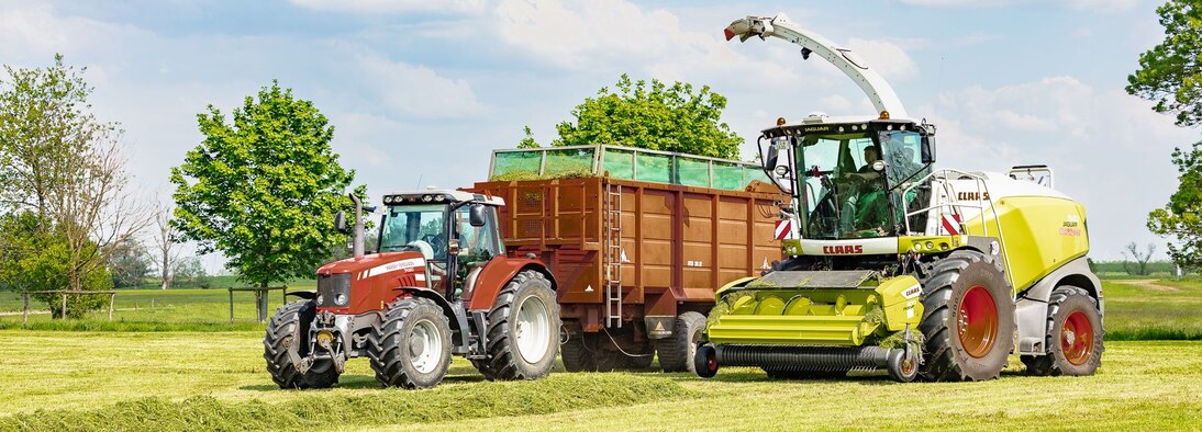 Silageernte