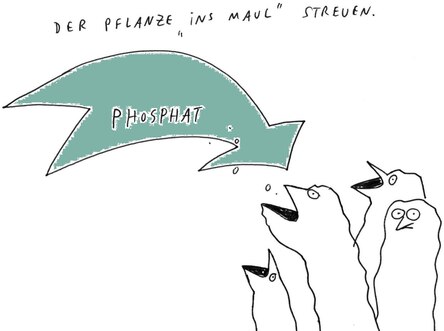 Skizze mit Pfeil, Wörtern, stilisierten Pflanzen