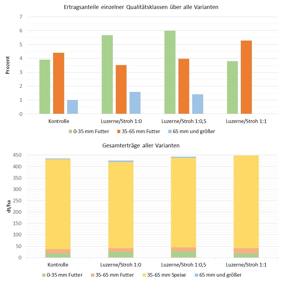 Zwischenauswertung Ertrag