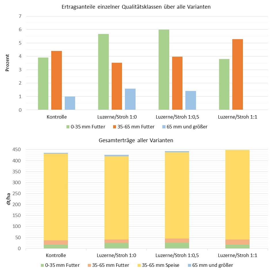 Zwischenauswertung Ertrag