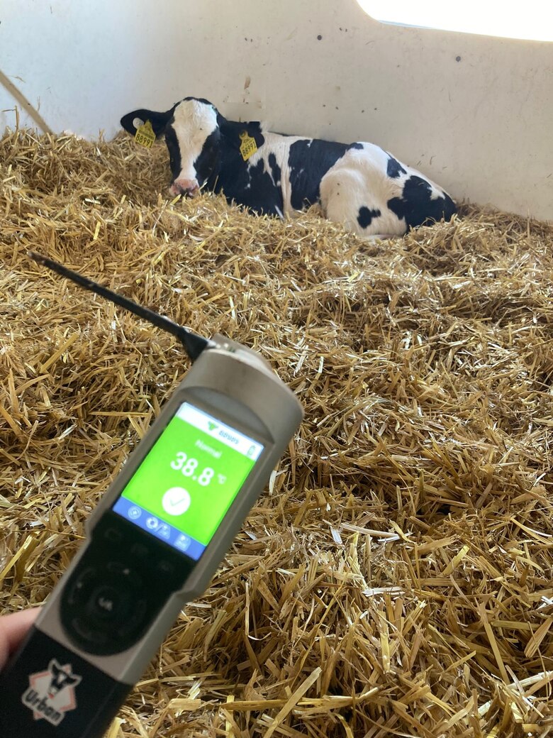 Digitalisierung hat auch im Kälberstall Einzug gehalten.