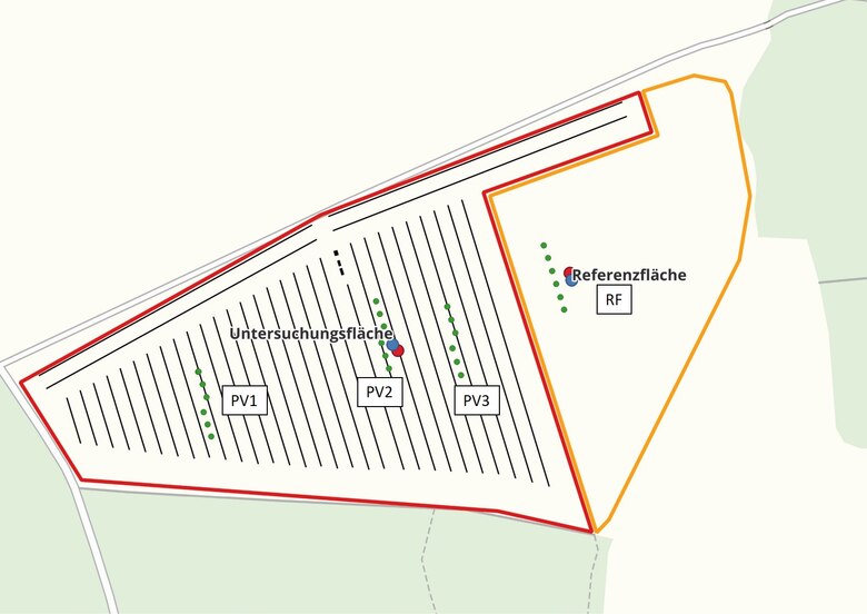 Schema der Untersuchungsfläche BiodivAgriPV mit Messpunkten