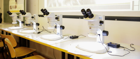 Mikroskope im Labor