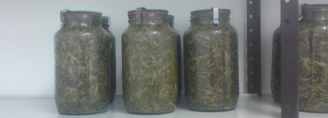 Gläser mit Silageproben in Regal