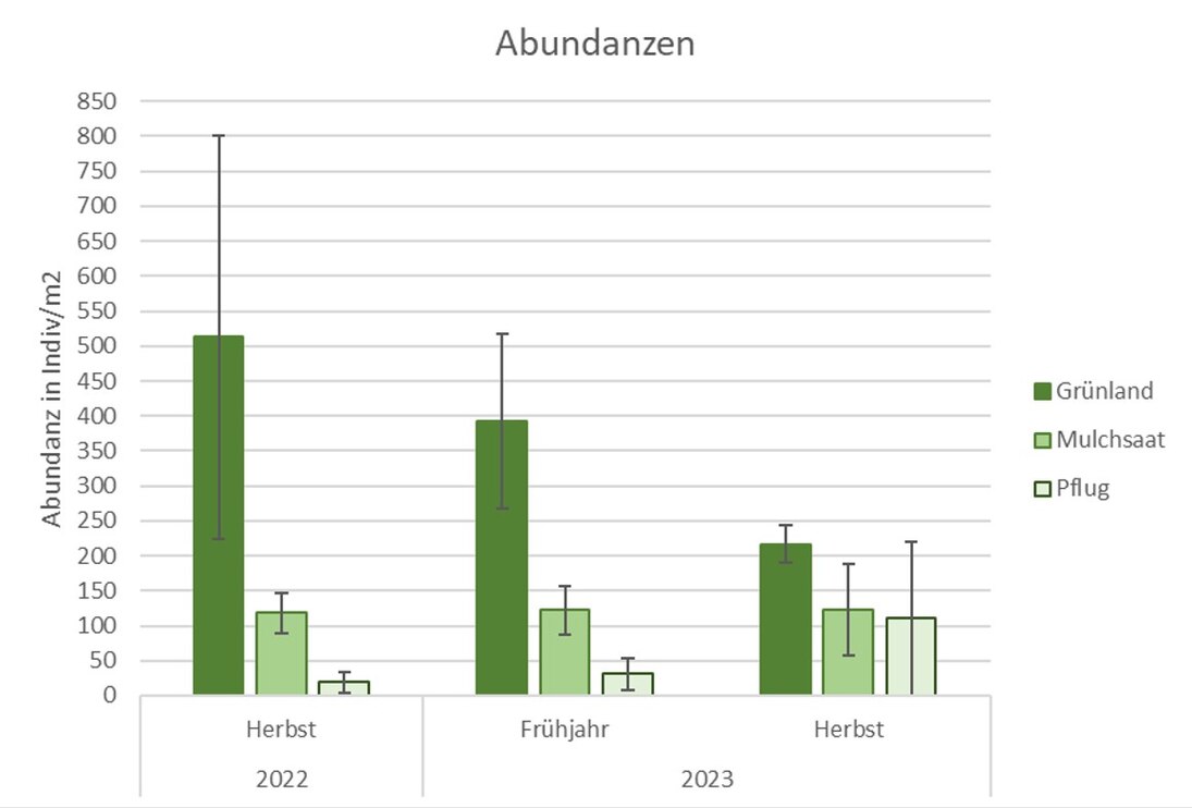 Regenwurmabundanzen für die Jahre 2022 und 2023