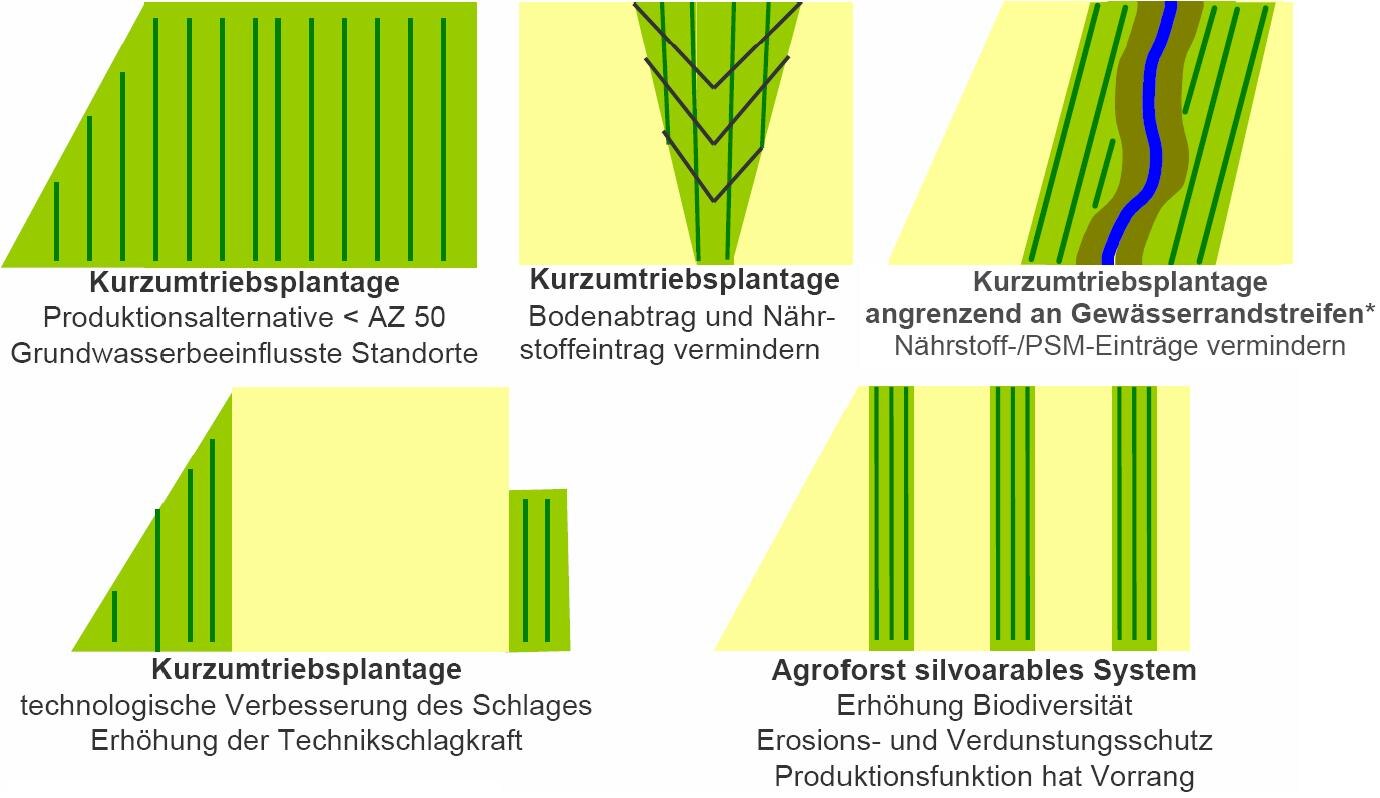 Anbaustrategien