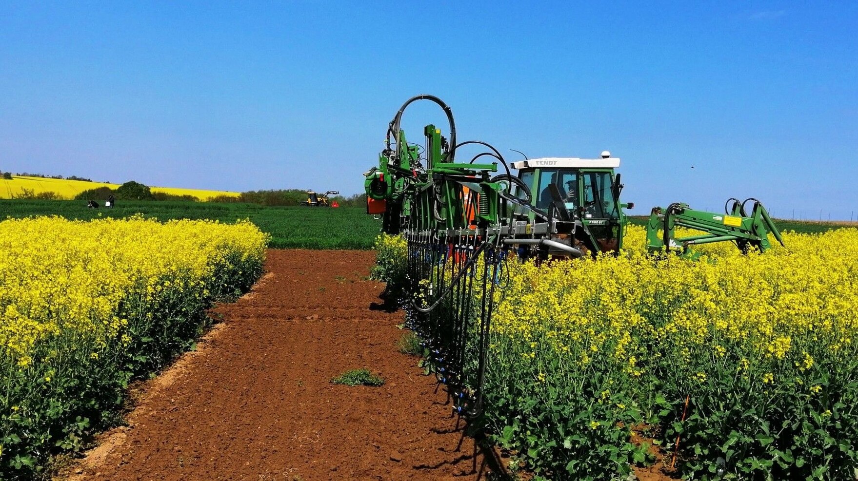 Traktor fährt durch blühendes Rapsfeld