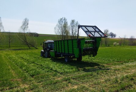 Das Bild zeigt das Ausbringen von Transfermulch auf Winterweizen im Frühjahr.