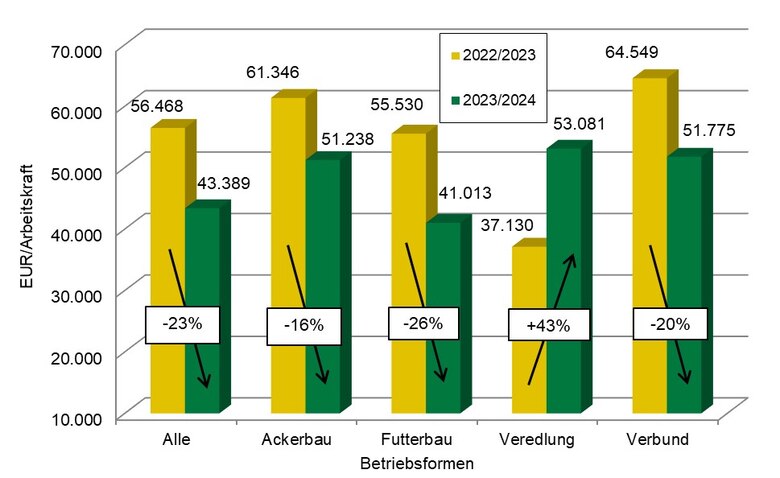 Grafische Darstellung in einem Säulendiagramm