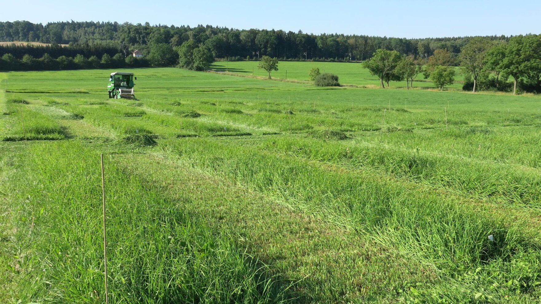 Grünfutterernte auf dem Versuchsfeld in Christgrün