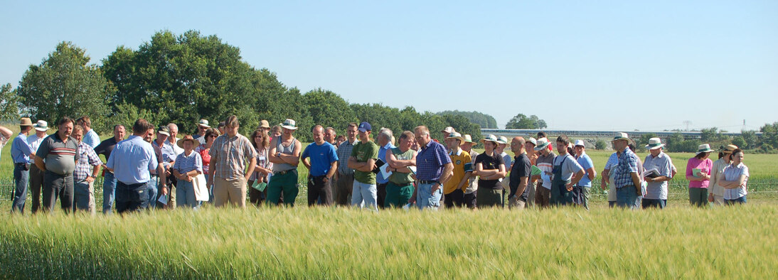 Besuchergruppe auf einem Feldtag.