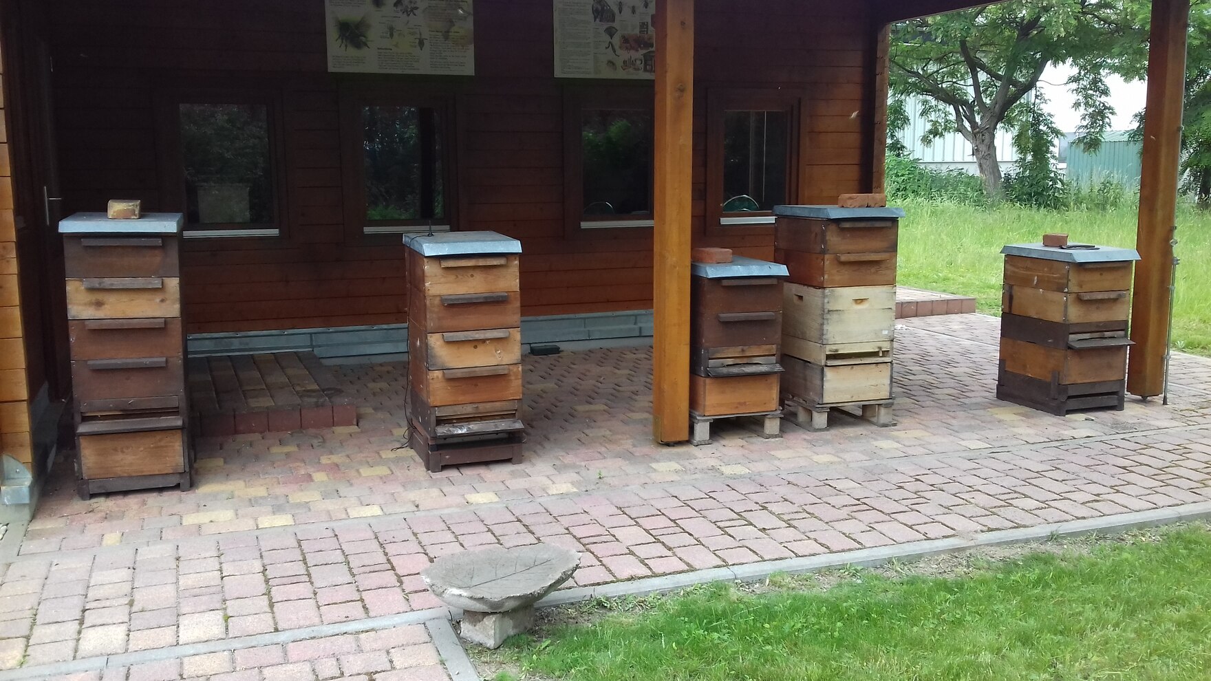 Bienenhaltung in Sachsen Landwirtschaft sachsen.de