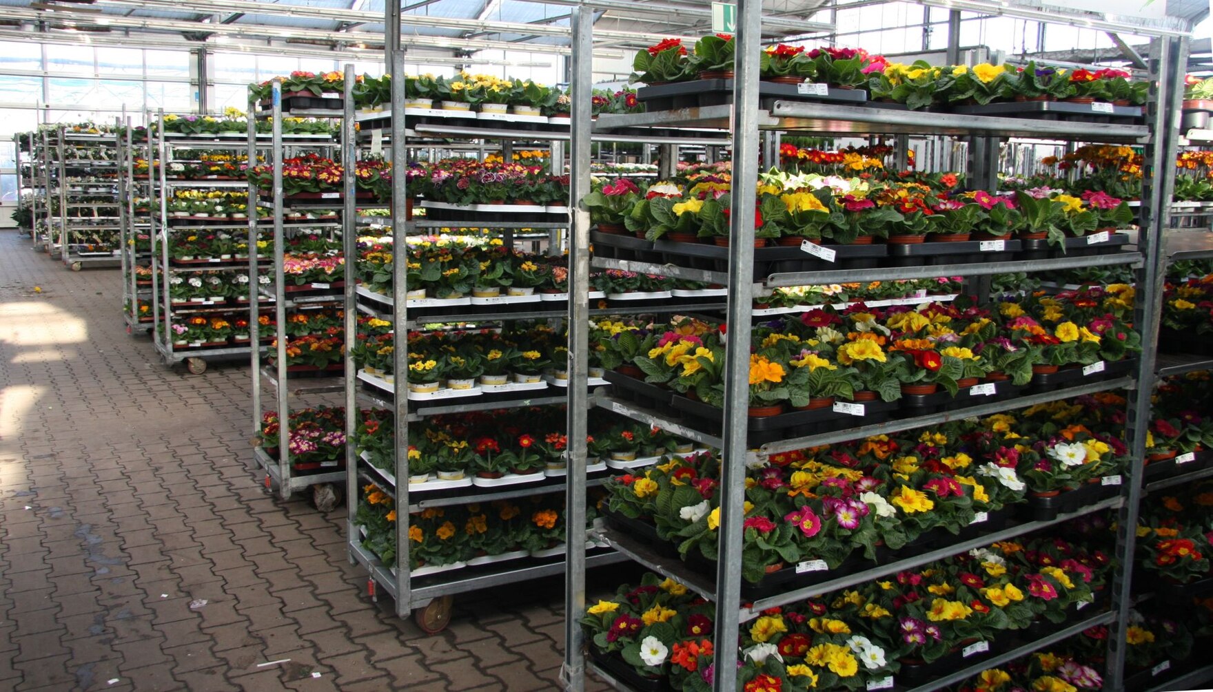 EU- Binnenmarkt