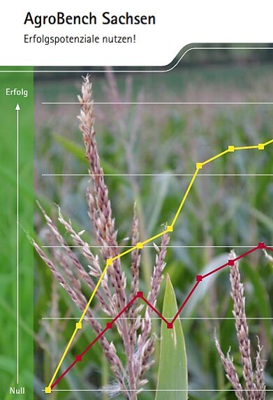 Deckblatt des Flyers mit Logo des LfULG oben und Grafik eines Liniendiagrammes mit einem Hintergrundbild (Ähren)