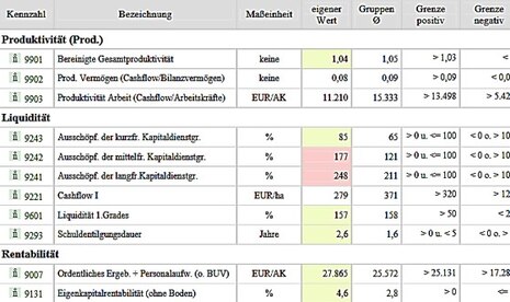 Mit dieser einzelbetrieblichen Stärken-Schwächen-Analyse werden die Kennzahlen des eigenen Unternehmens mit den Kennzahlen des Gruppendurchschnitts verglichen. Positive und negative Grenzwerte orientieren bei der Bewertung.