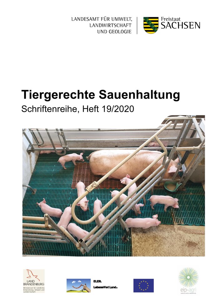 Titelbild der Schriftenreihe 19/2020 - Tiergerechte Sauenhaltung