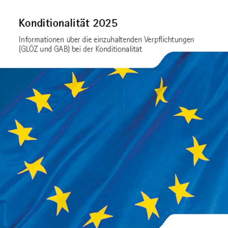 Broschüre Konditionalität 2025 Titelseite mit Europaflagge